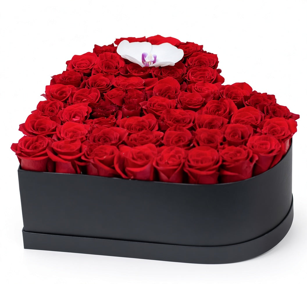 THE LOVE ME MORE BOX