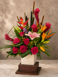 Elegant Vibrance