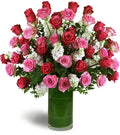 Opulent Roses