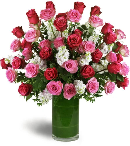 Opulent Roses