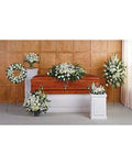 Grandest Glory Collection